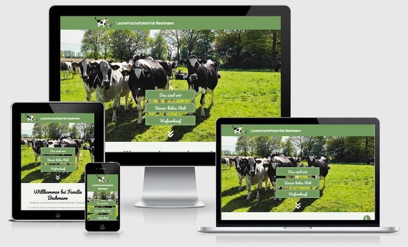 Website von Landwirtschaftsbetrieb Beckmann