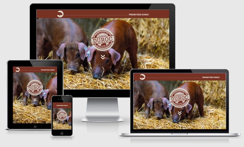 neue Website